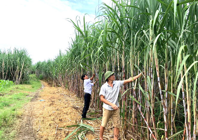 website template image